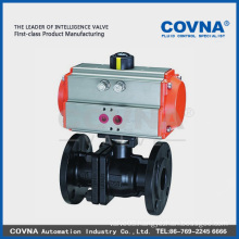 Cast iron pneumatic valve for steam